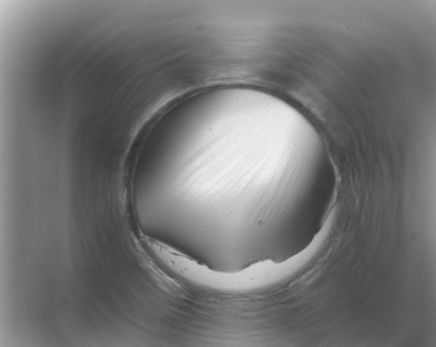 X0000070171458200606231908