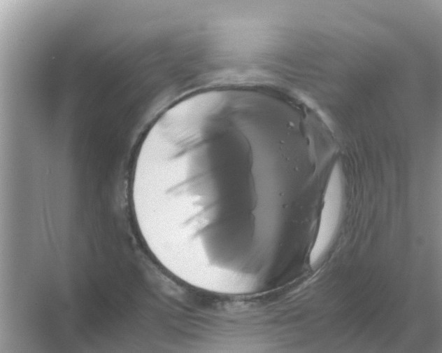 X0000070171459200606231908