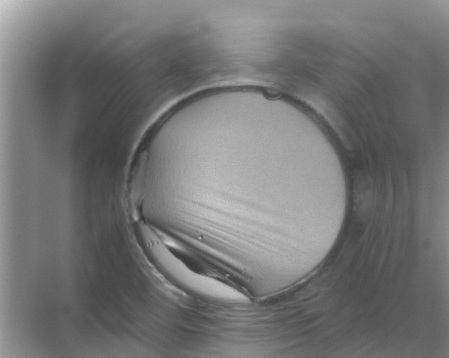 X0000070171460200606231908