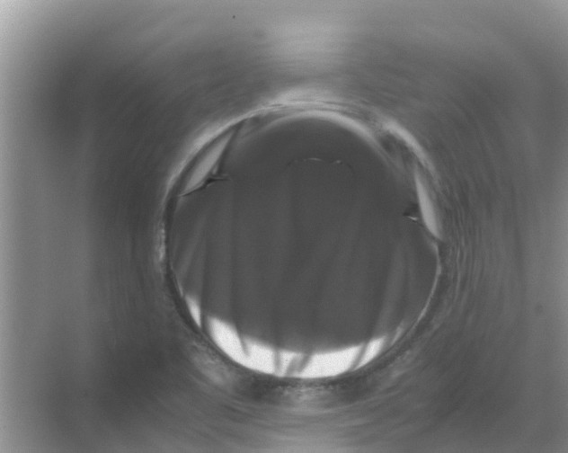 X0000070171461200606231908