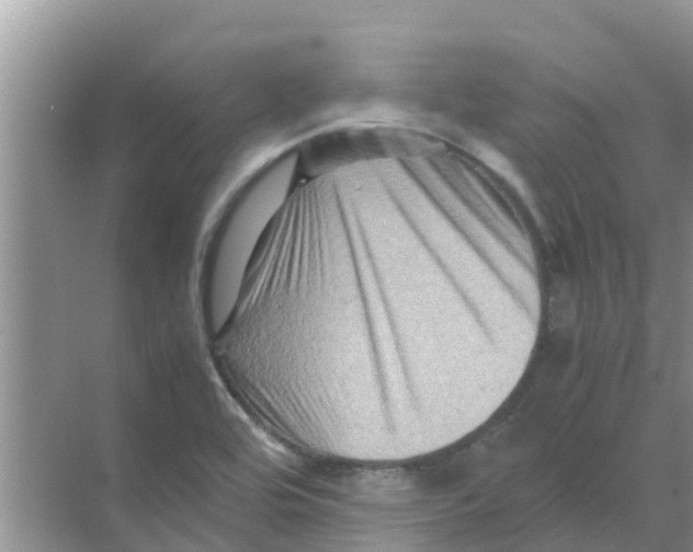 X0000070171464200606231908