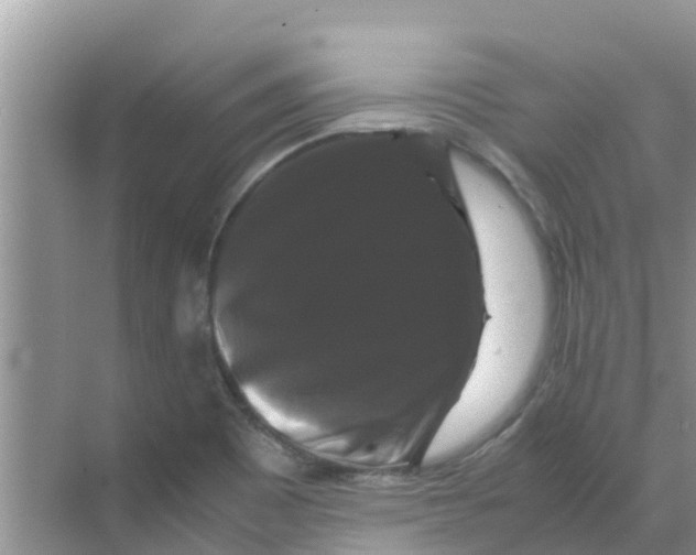 X0000070171465200606231908