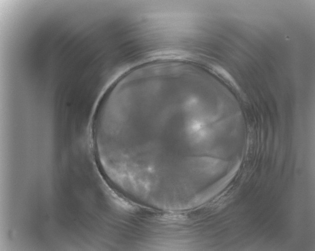 X0000070171466200606231908