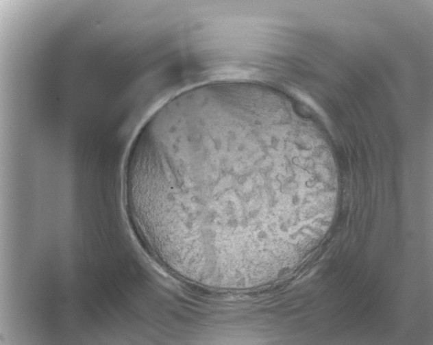 X0000070171467200606231908