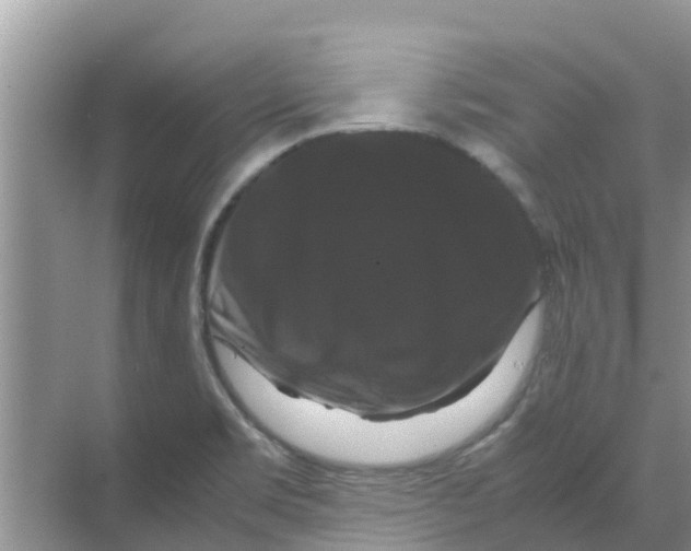 X0000070171469200606231908