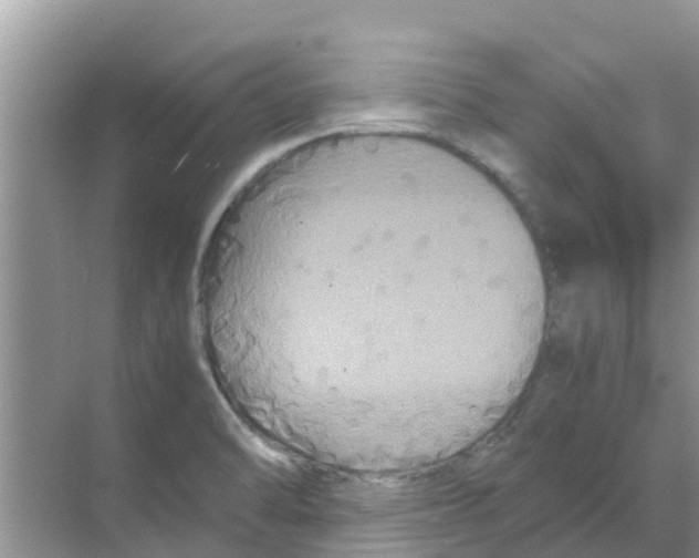 X0000070171470200606231908