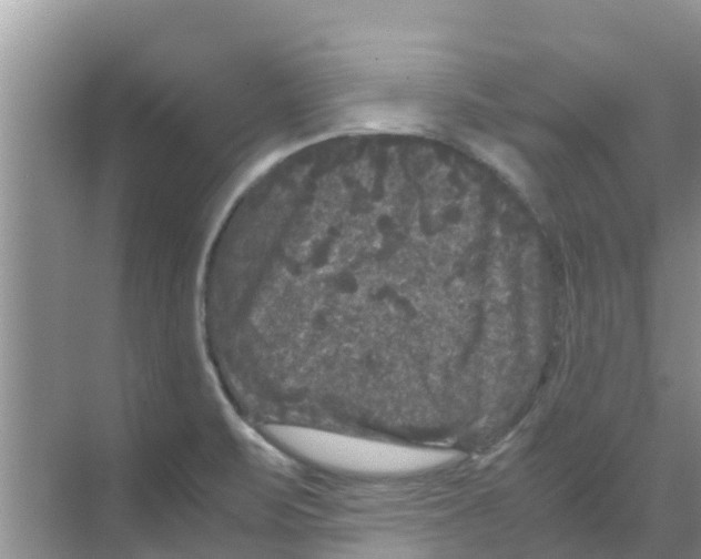 X0000070171471200606231908