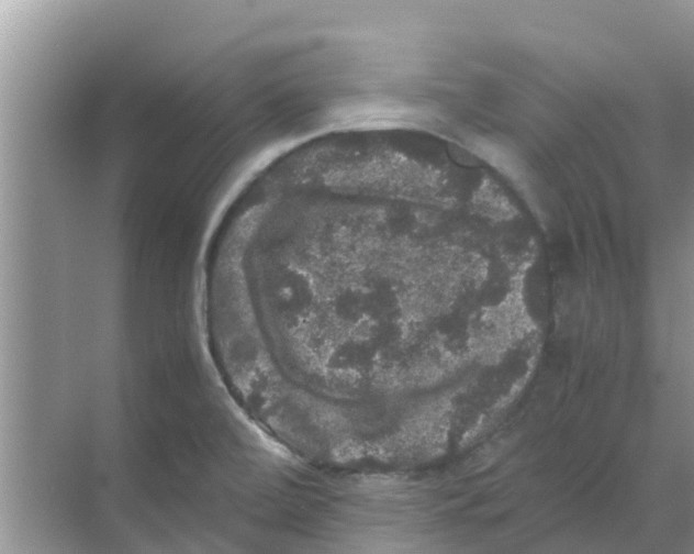 X0000070171472200606231908