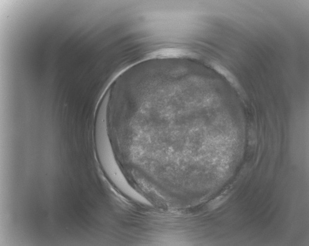 X0000070171473200606231908