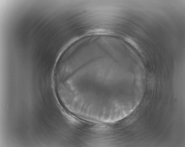 X0000070171474200606231908