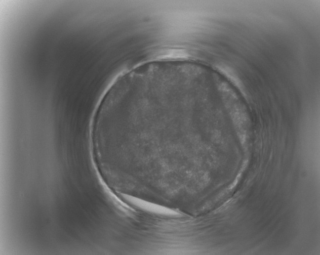 X0000070171475200606231908