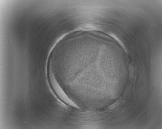 X0000070171477200606231908