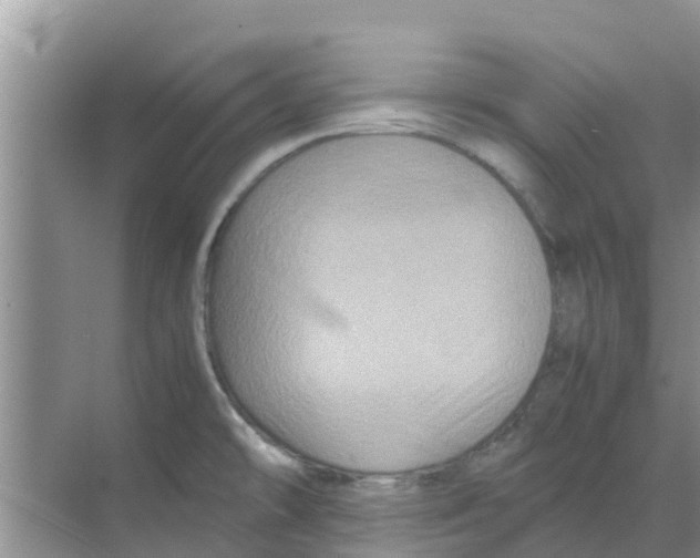 X0000070171478200606231908