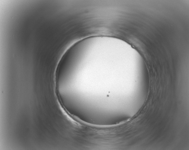 X0000070171479200606231908