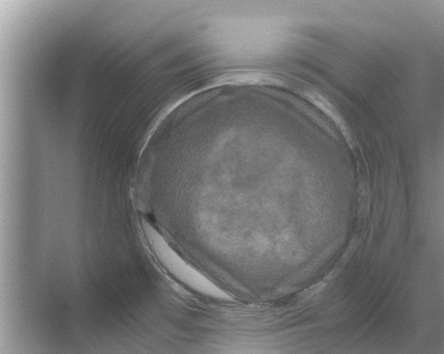 X0000070171481200606231908