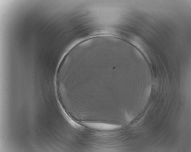 X0000070171482200606231908