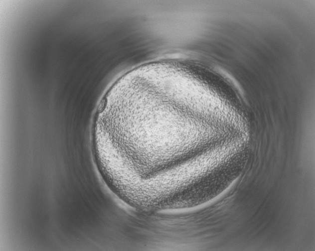 X0000070171483200606231908