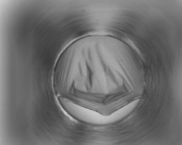 X0000070171484200606231908