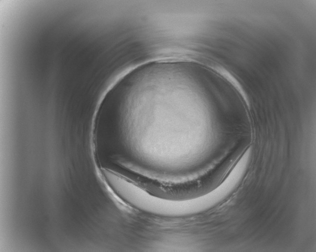 X0000070171485200606231908