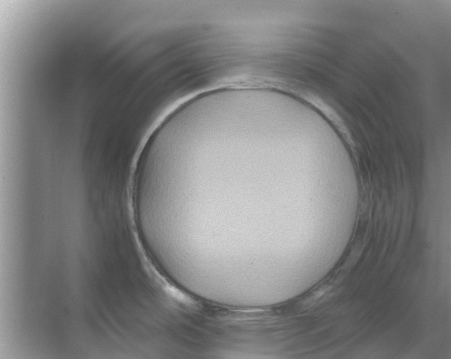 X0000070171486200606231908