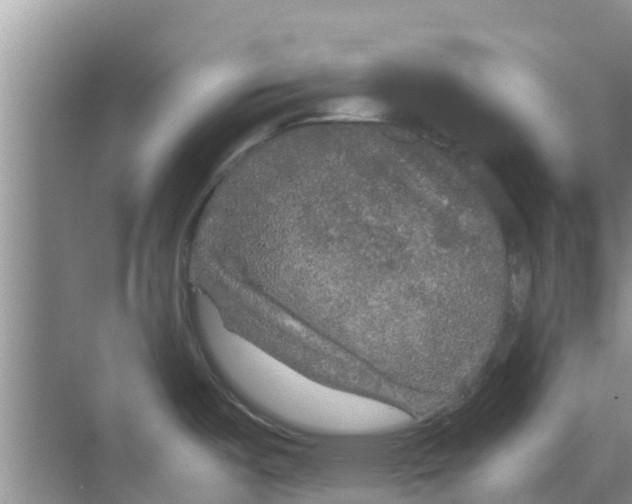 X0000070171487200606231908