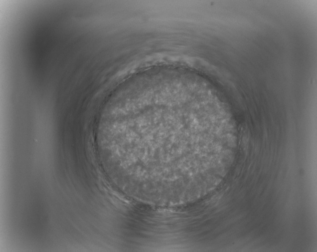 X0000070171489200606231907