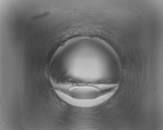 X0000070171490200606231907