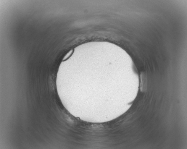 X0000070171491200606231907