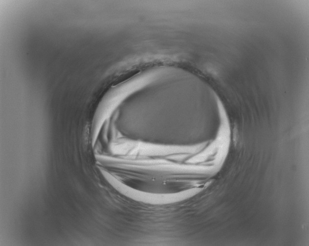 X0000070171492200606231907