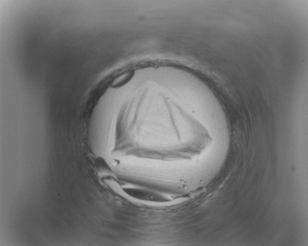 X0000070171494200606231907