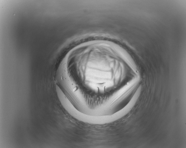 X0000070171495200606231907