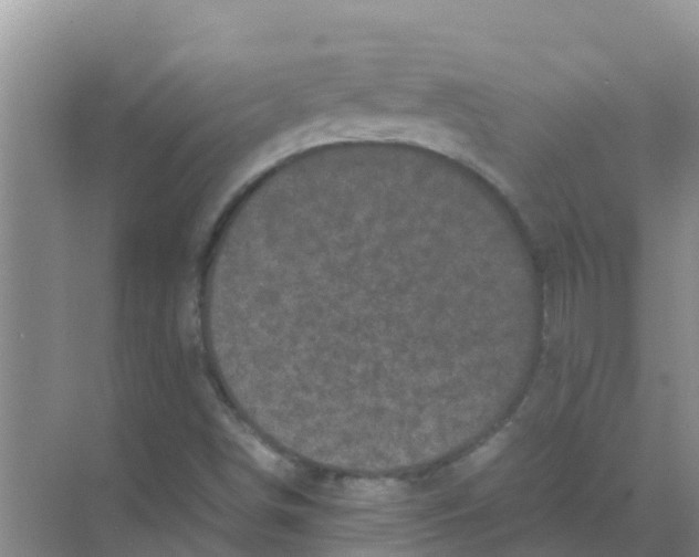 X0000070171498200606231907