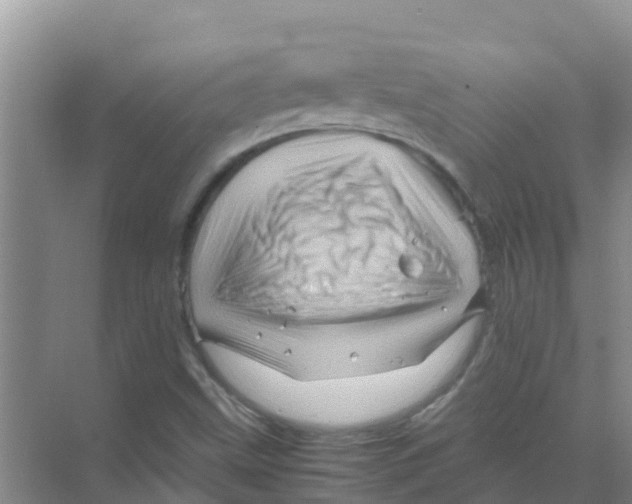 X0000070171499200606231907