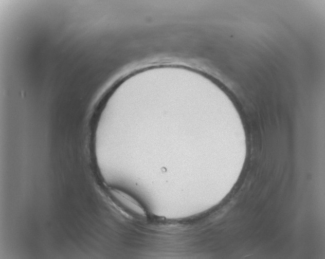 X0000070171502200606231907