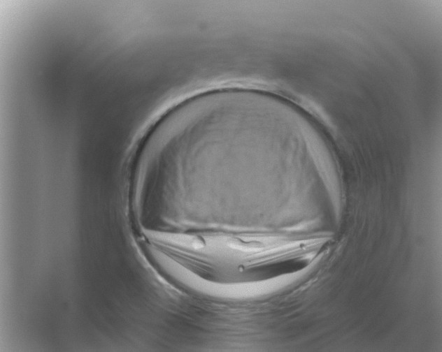 X0000070171504200606231907