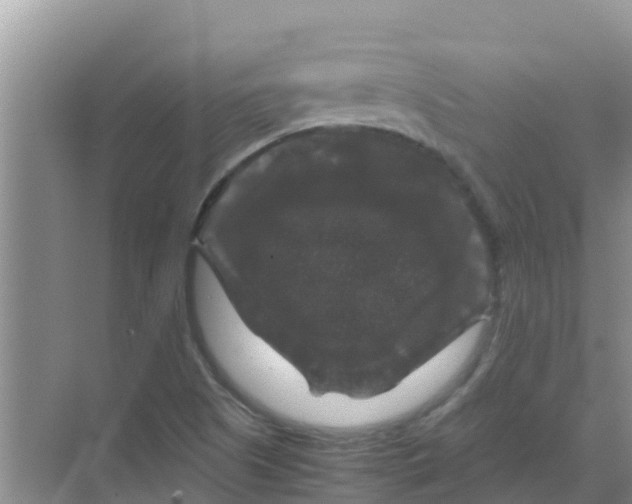 X0000070171505200606231907