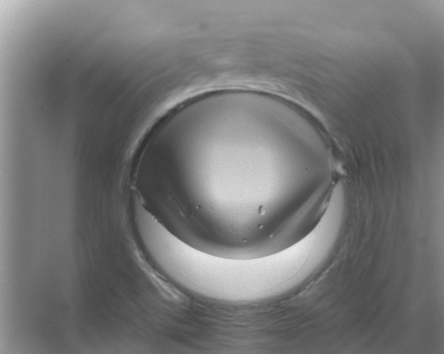 X0000070171507200606231907