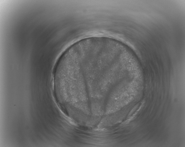 X0000070171509200606231907