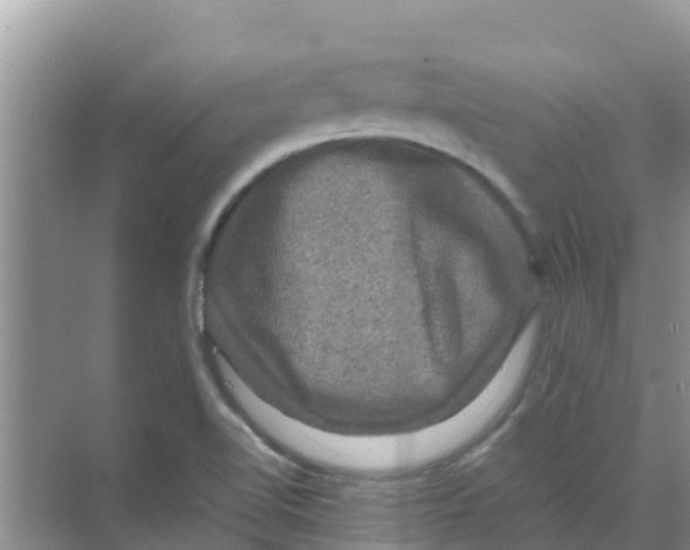 X0000070171510200606231907