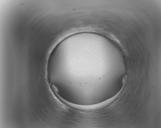 X0000070171512200606231907