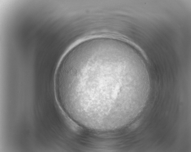 X0000070171514200606231907