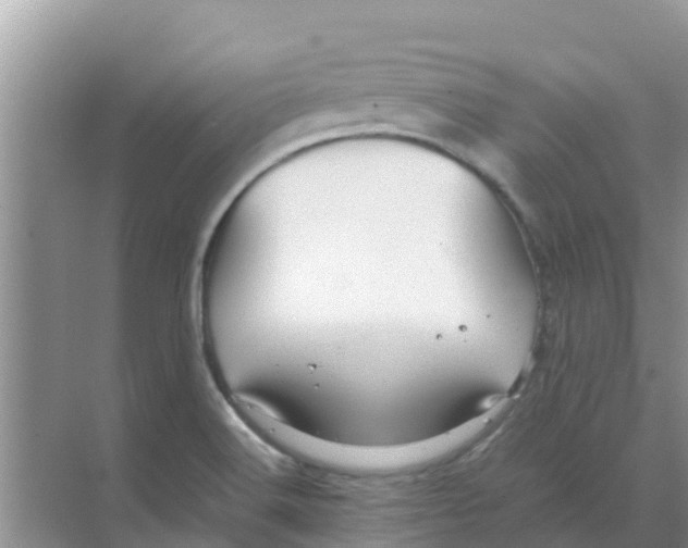 X0000070171516200606231907