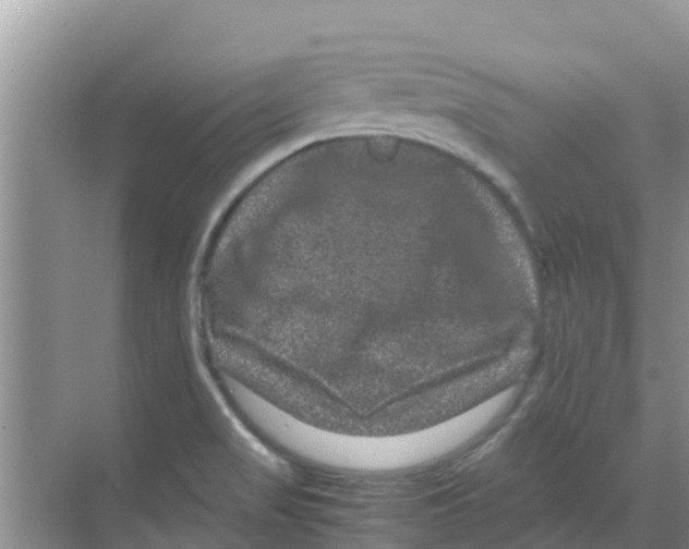 X0000070171517200606231907