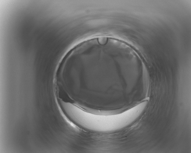 X0000070171519200606231907