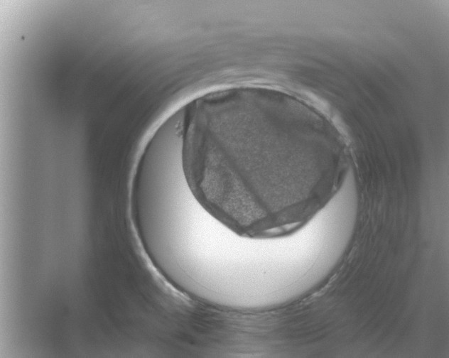 X0000070171520200606231907