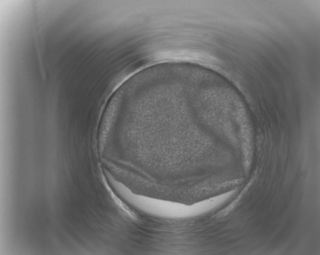 X0000070171521200606231907