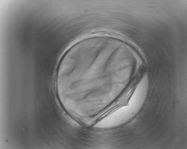 X0000070171522200606231907