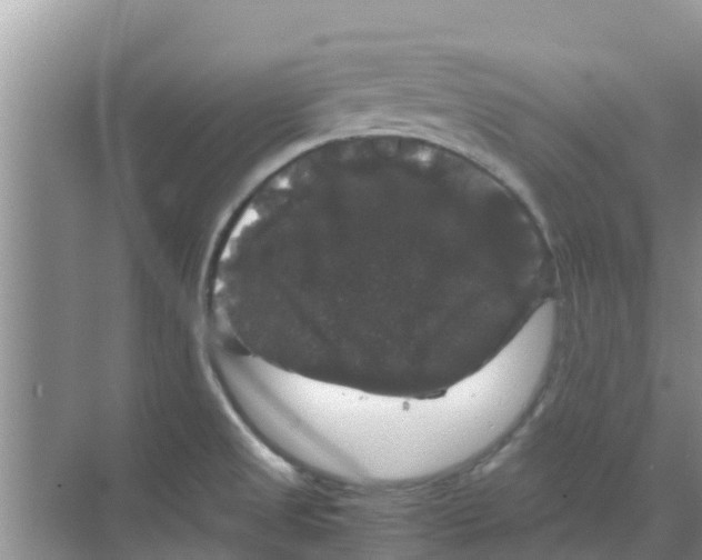 X0000070171525200606231907