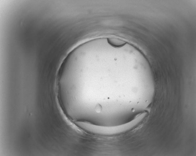 X0000070171526200606231907