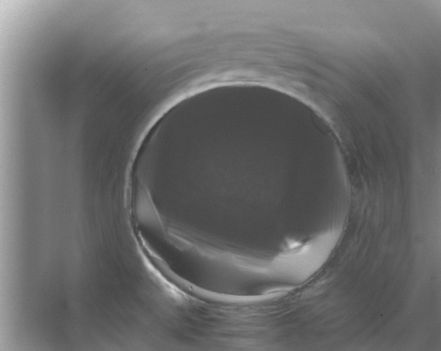 X0000070171527200606231908